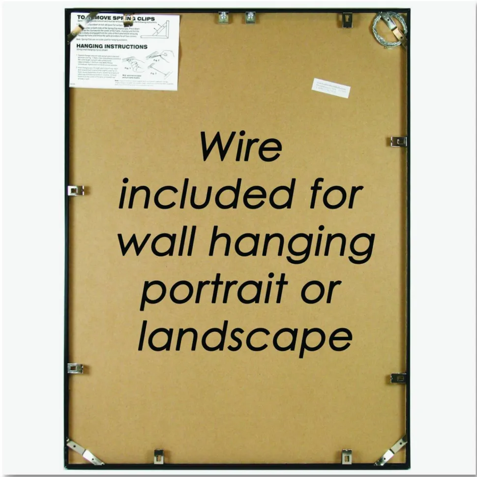 Nu-Dell Metal Poster Frame, 18" x 24", Black