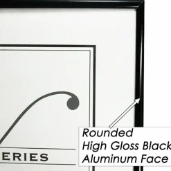 Nu-Dell Metal Poster Frame, 24