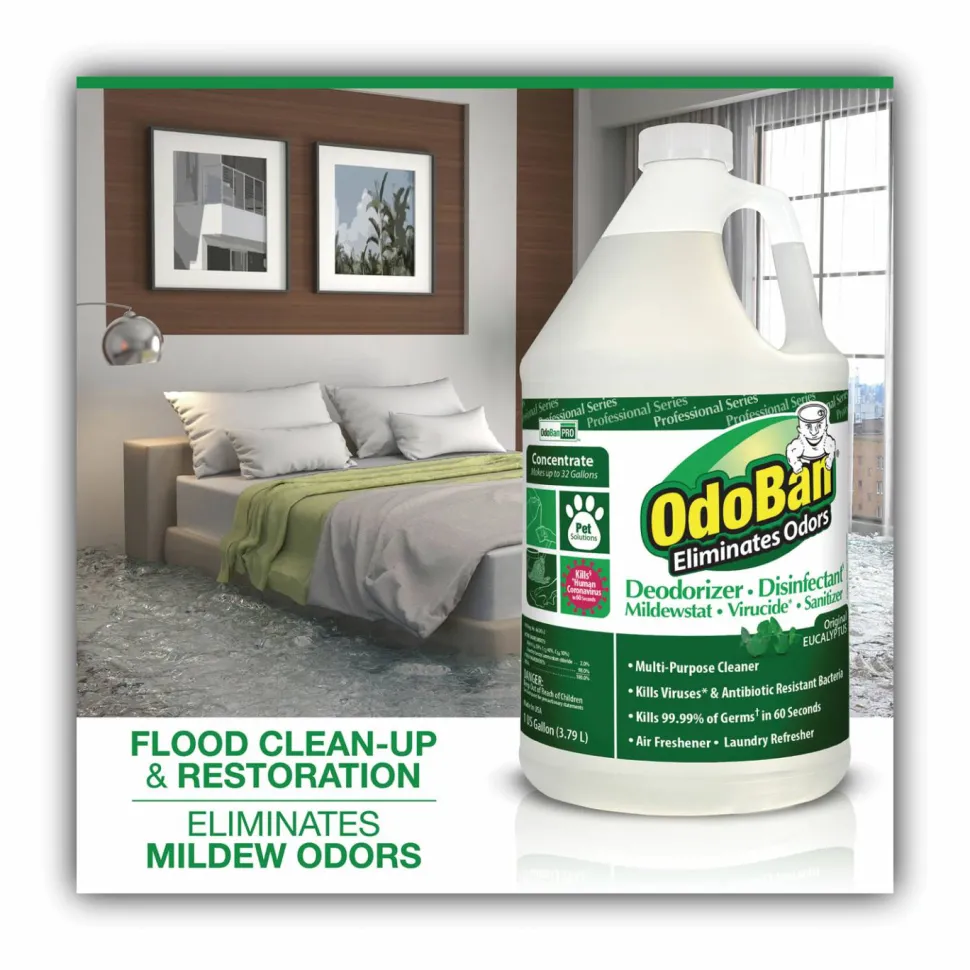 OdoBan Eucalyptus Multi-purpose Deodorizer Disinfectant Concentrate