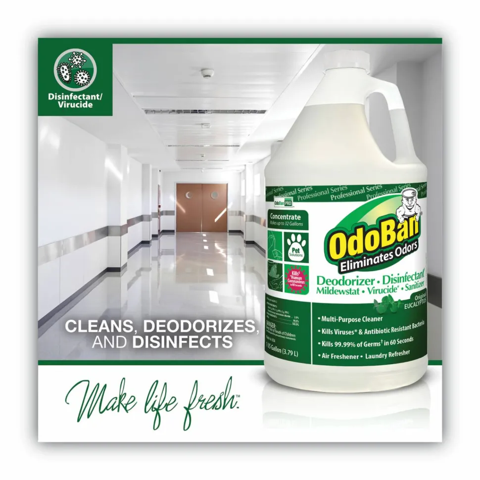 OdoBan Eucalyptus Multi-purpose Deodorizer Disinfectant Concentrate