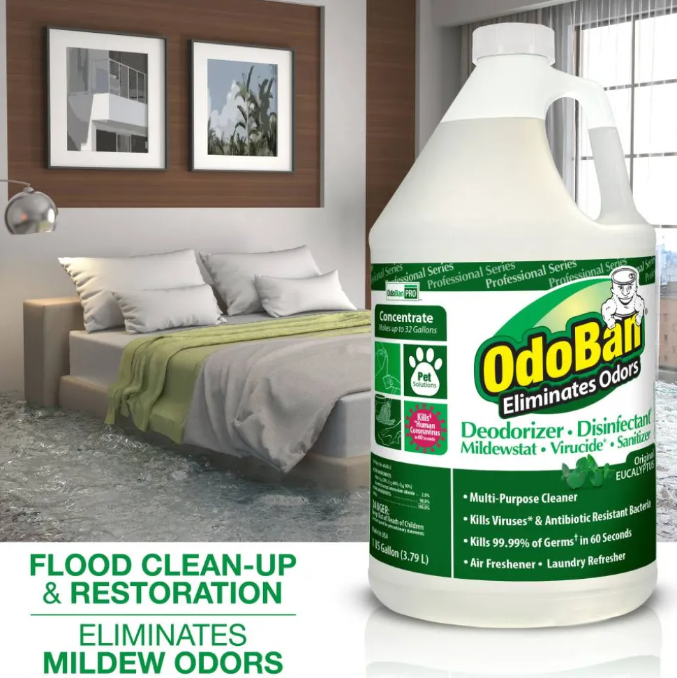 OdoBan Multi-Purpose Deodorizer & Disinfectant Concentrate, Eucalyptus Scent, 128 Oz Bottle
