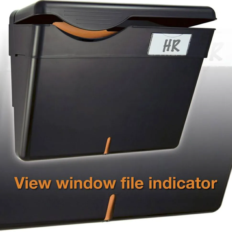 OIC Security Wall File With Lid, Letter Size, Black