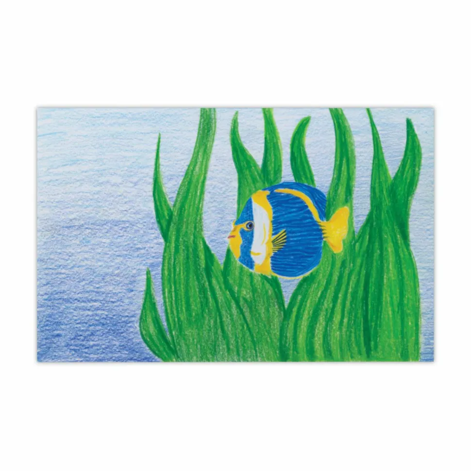 Pacon - Tracing paper - - 500 sheets - semi-transparent