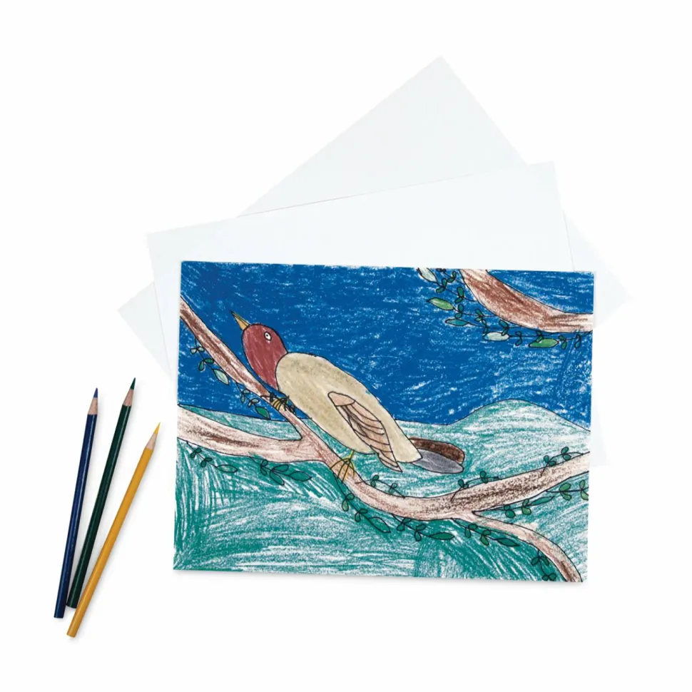 Pacon Sulphite Drawing Paper, 12" x 18", 80 Lb, White, 500 Sheets