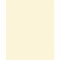 Pacon Array Card Stock, 65 lb Cover Weight, 8.5 x 11, Ivory, 100/Pack