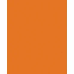 Pacon Kaleidoscope Color Multi-Use Printer & Copy Paper, Pumpkin Orange, Letter (8.5" x 11"), 500 Sheets Per Ream, 24 Lb, 95 Brightness