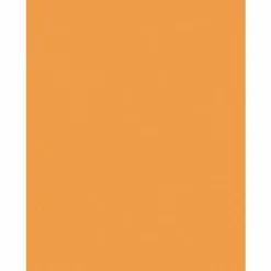 Pacon Kaleidoscope Multipurpose Colored Paper, 24 lb Bond Weight, 8.5 x 11, Hyper Orange, 500/Ream
