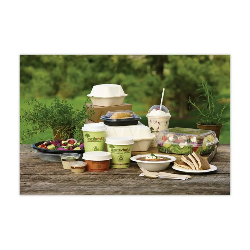 Pactiv Evergreen EarthChoice Bagasse Hinged Lid Containers, 2-13/16”H x 7-13/16”W x 7-13/16”D, Natural, Case Of 150 Containers