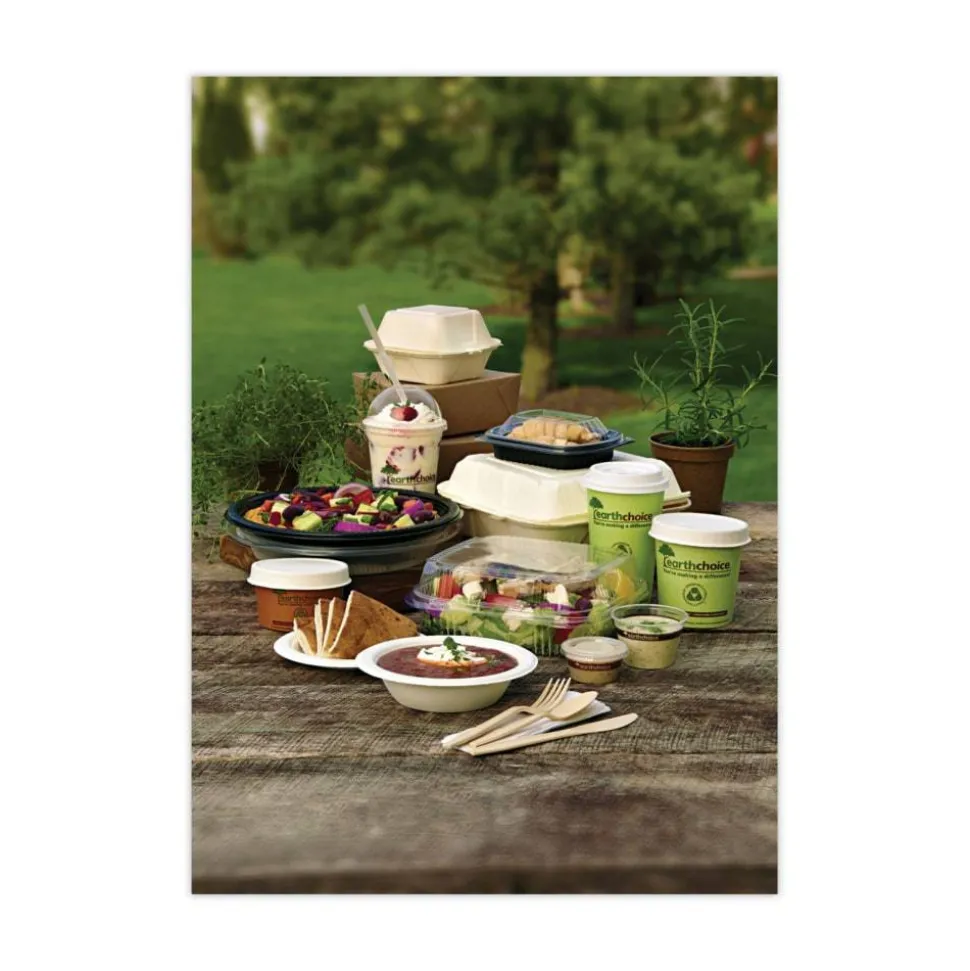Pactiv Evergreen EarthChoice Bagasse Hinged Lid Containers, 2-13/16”H x 7-13/16”W x 7-13/16”D, Natural, Case Of 150 Containers