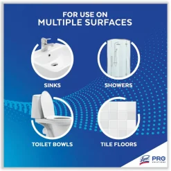 Professional Lysol Disinfectant Heavy Duty Bathroom Cleaner Concentrate, 128 Oz Bottle