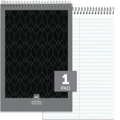Professional Steno Book, 6