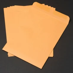 Quality Park Catalog Envelopes With Gummed Closure, 9