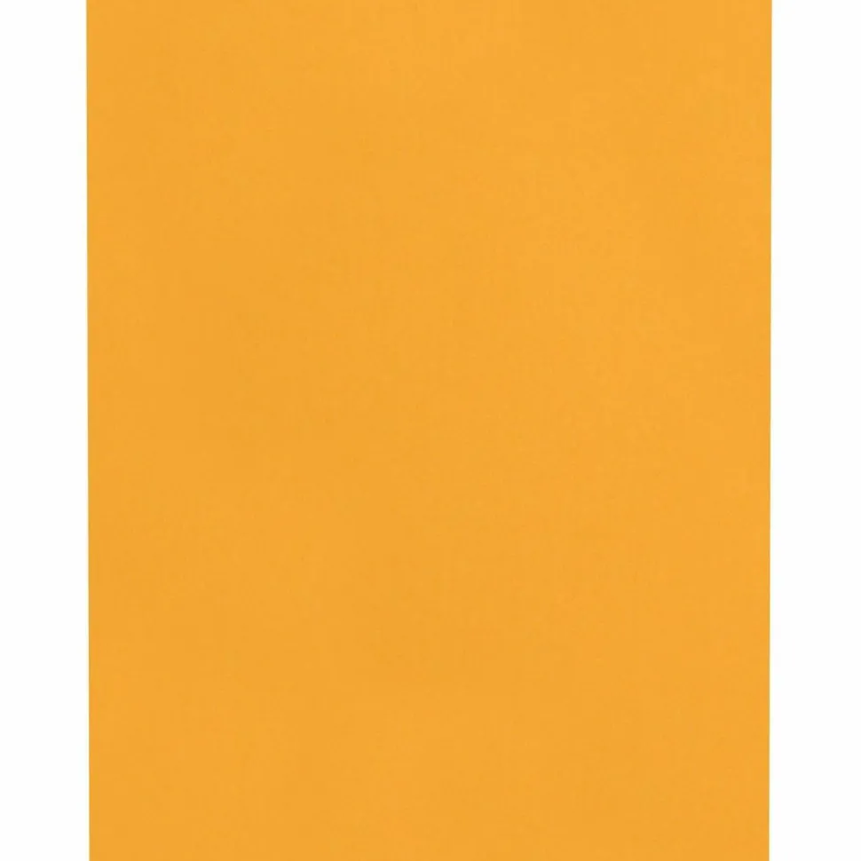 Quality Park Catalog Envelopes, Gummed Closure, 9" x 12", Brown, Box Of 100