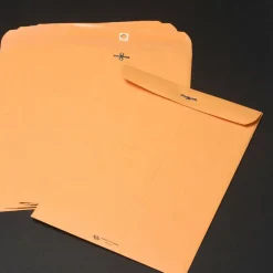 Quality Park Clasp Envelopes, 9
