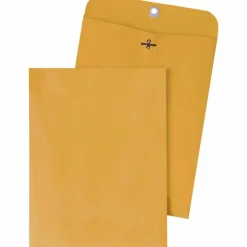 Quality Park Clasp Envelopes, #35, 5