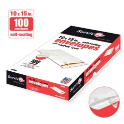 Quality Park Tyvek Envelopes, 10
