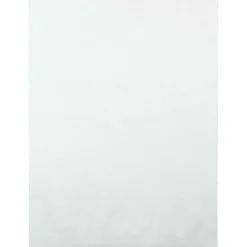 Quality Park Tyvek Expansion 10