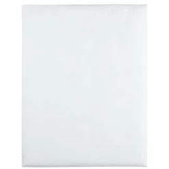 Quality Park Tyvek 12