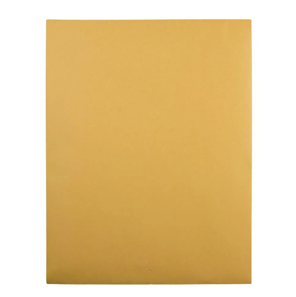 Quality Park 12" x 15 1/2" Envelopes, Claps Closure, Brown, Box Of 100