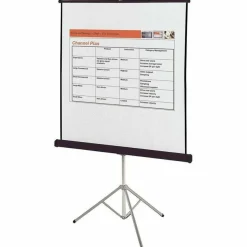 Quartet Portable Tripod Projection Screen, 70