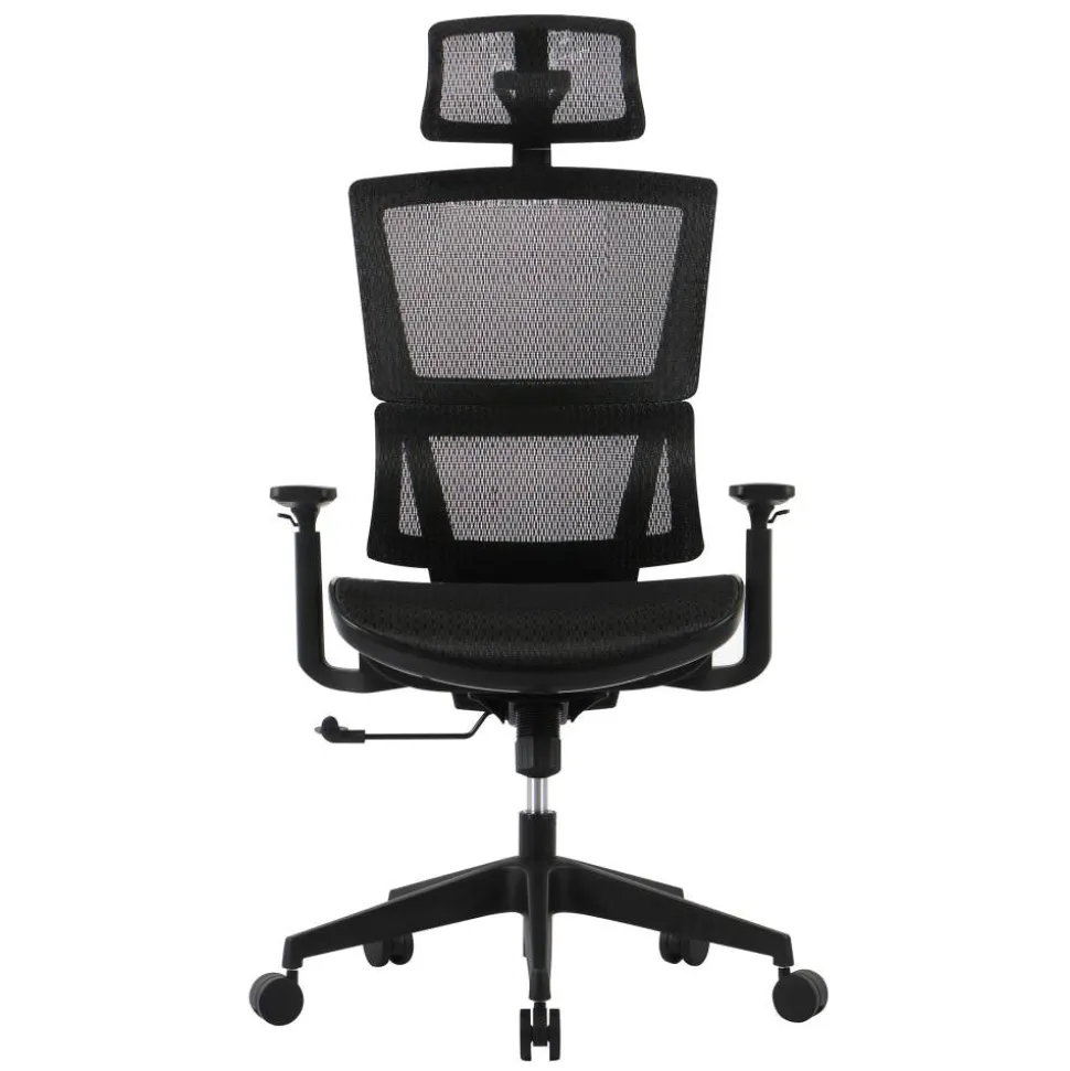 Radano Mesh High-Back Executive Office Chair, Black, BIFMA Compliant
