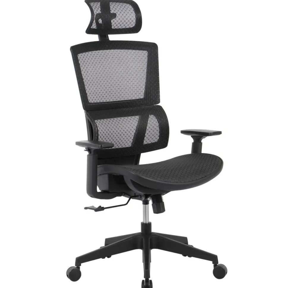 Radano Mesh High-Back Executive Office Chair, Black, BIFMA Compliant