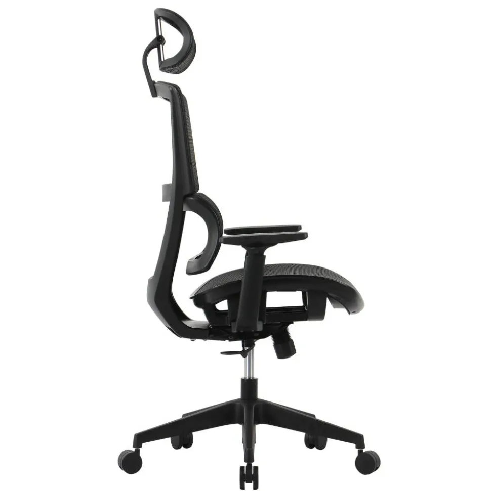 Radano Mesh High-Back Executive Office Chair, Black, BIFMA Compliant