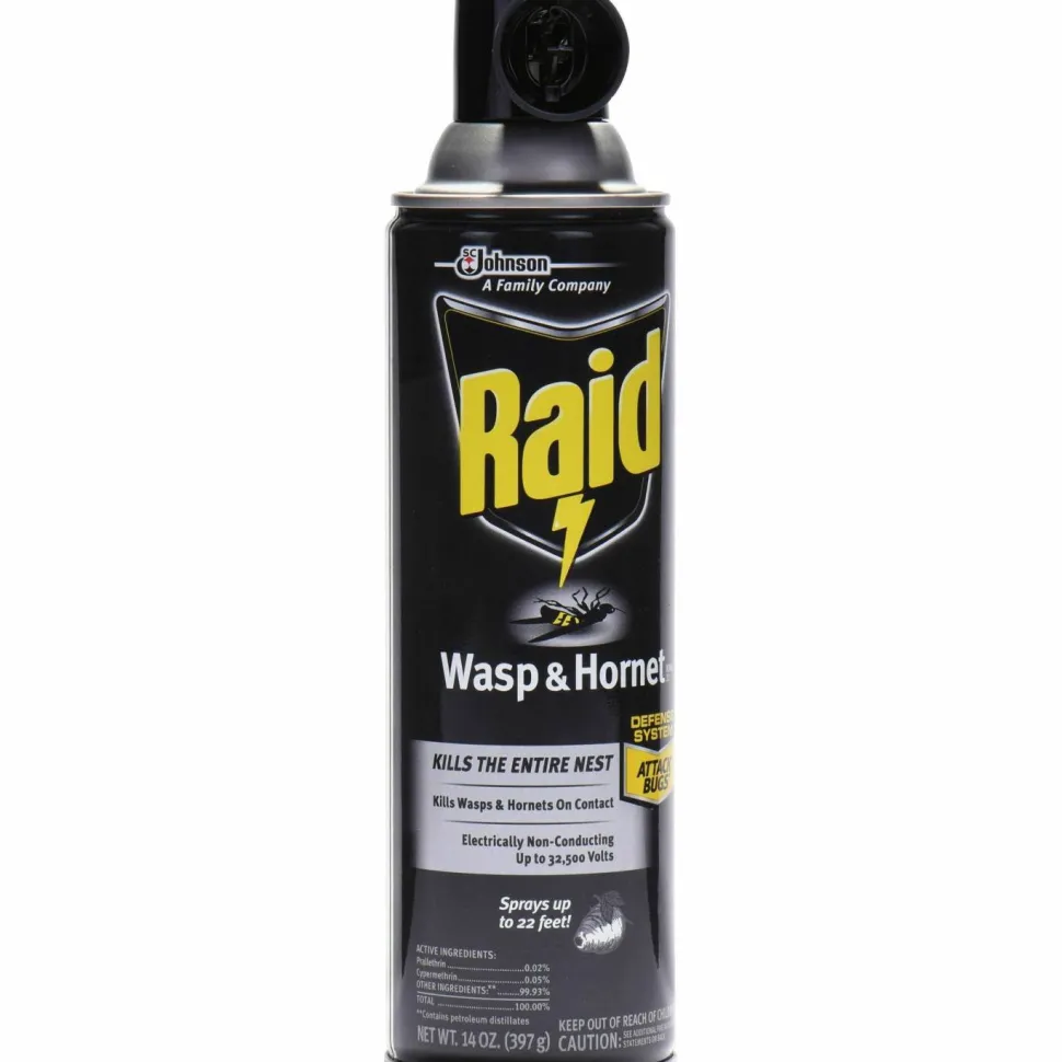Raid Wasp and Hornet Killer 33