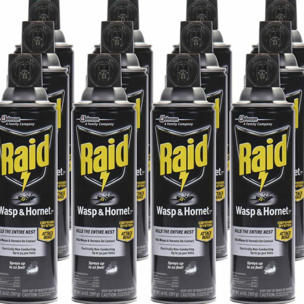 Raid Wasp and Hornet Killer 33