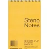 Rediform Eye-ease Steno Notebook - 80 Sheets - Wire Bound - Gregg Ruled - 16 lb Basis Weight - 6"x9" - 36746