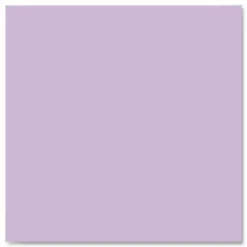 Roaring Spring EnviroShades Steno Pad, White Cover, Gregg Rule, (80) Orchid 6 x 9 Sheets, 24/Carton