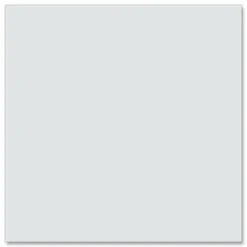 Roaring Spring EnviroShades Steno Pad, White Cover, Gregg Rule, (80) Gray 6 x 9 Sheets, 24/Carton