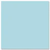 Roaring Spring EnviroShades Steno Pad, White Cover, Gregg Rule, (80) Blue 6 x 9 Sheets, 24/Carton