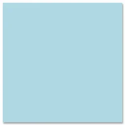 Roaring Spring EnviroShades Steno Pad, White Cover, Gregg Rule, (80) Blue 6 x 9 Sheets, 24/Carton
