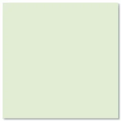 Roaring Spring Steno Pad, Brown Cover, Gregg Rule, (80) Green 6 x 9 Sheets, 72/Carton