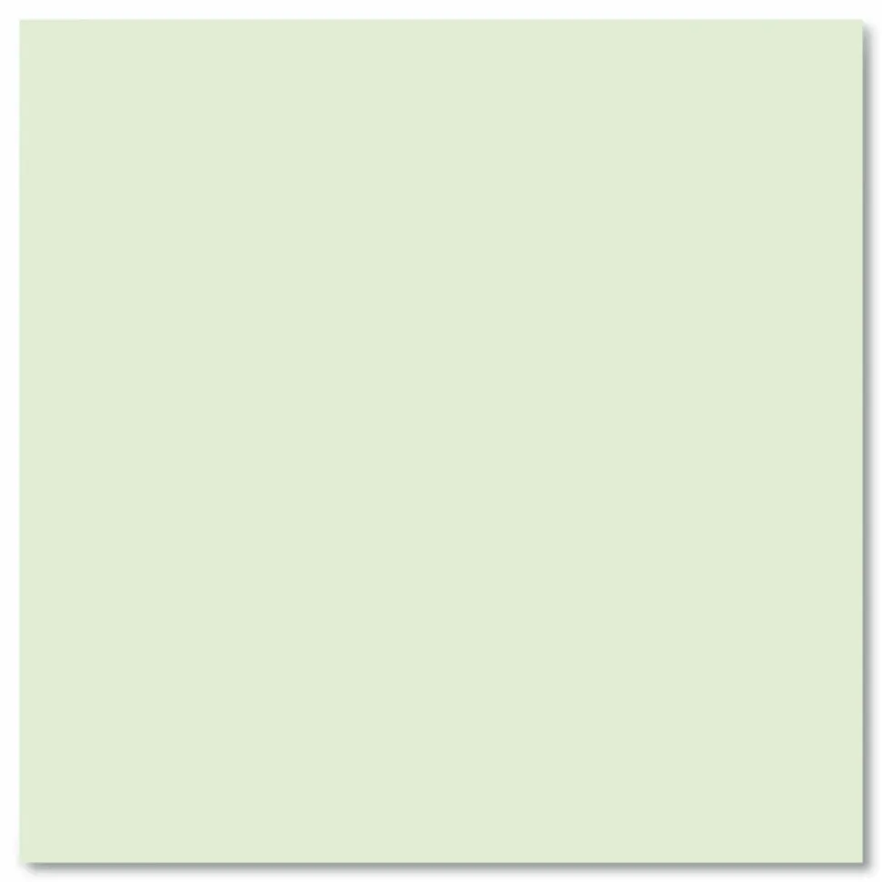Roaring Spring Steno Pad, Brown Cover, Gregg Rule, (80) Green 6 x 9 Sheets, 72/Carton