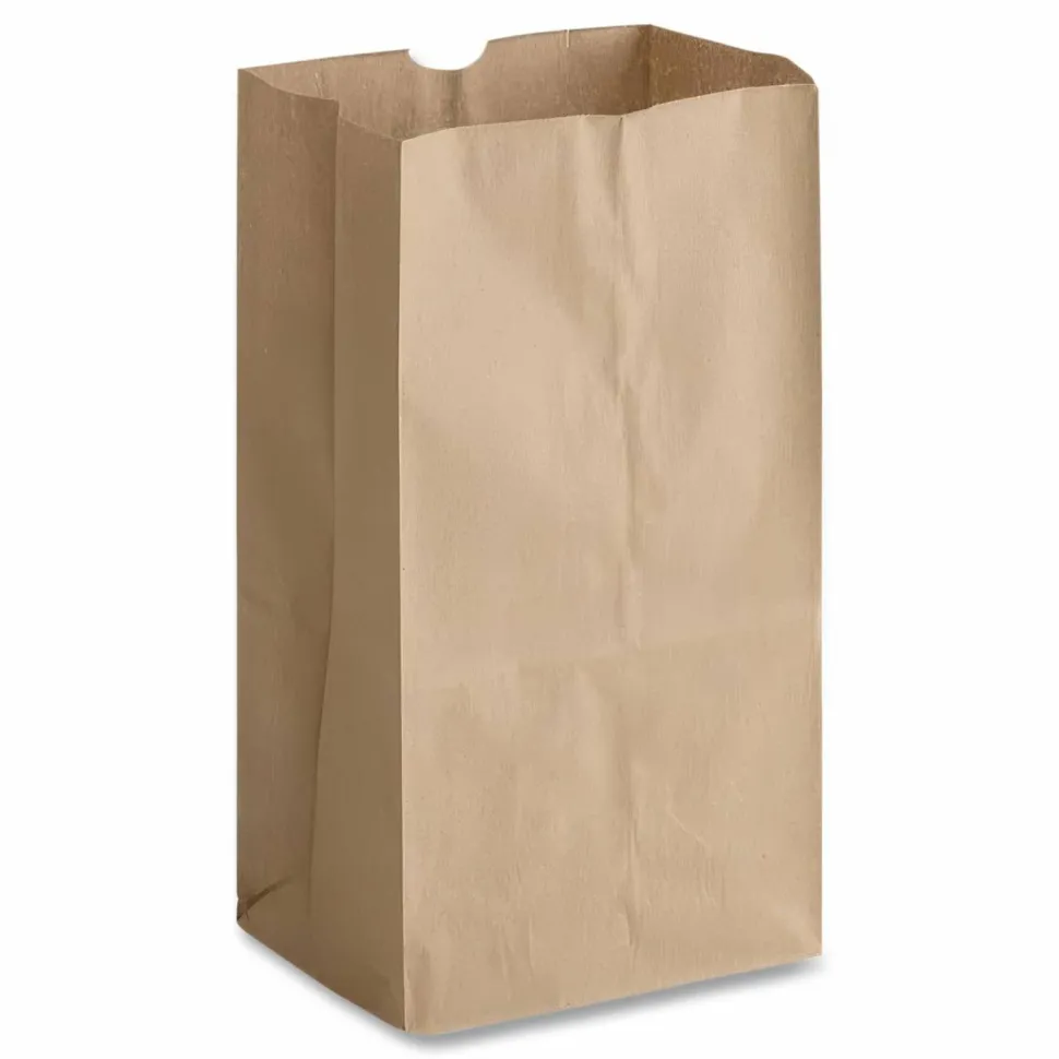 Ross & Wallace Paper Products Grocery Paper Bags, 20# Squat Size, Extra-Heavy-Duty, 60# Basis Weight, 8.13" x 5.88" x 12.5", Kraft, 500/Bundle