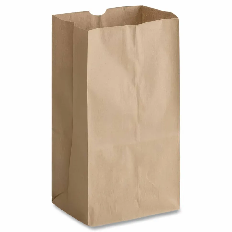 Ross & Wallace Paper Products Grocery Paper Bags, 2# Size, X-Heavy-Duty, 50# Basis Weight, 4.13" x 2.63" x 7.88", Kraft, 250 Bags/Pack, 2 Packs/Bundle