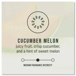 Rubbermaid TCell Air Freshener Refills, 1.62 Oz, Cucumber Melon, Case Of 6