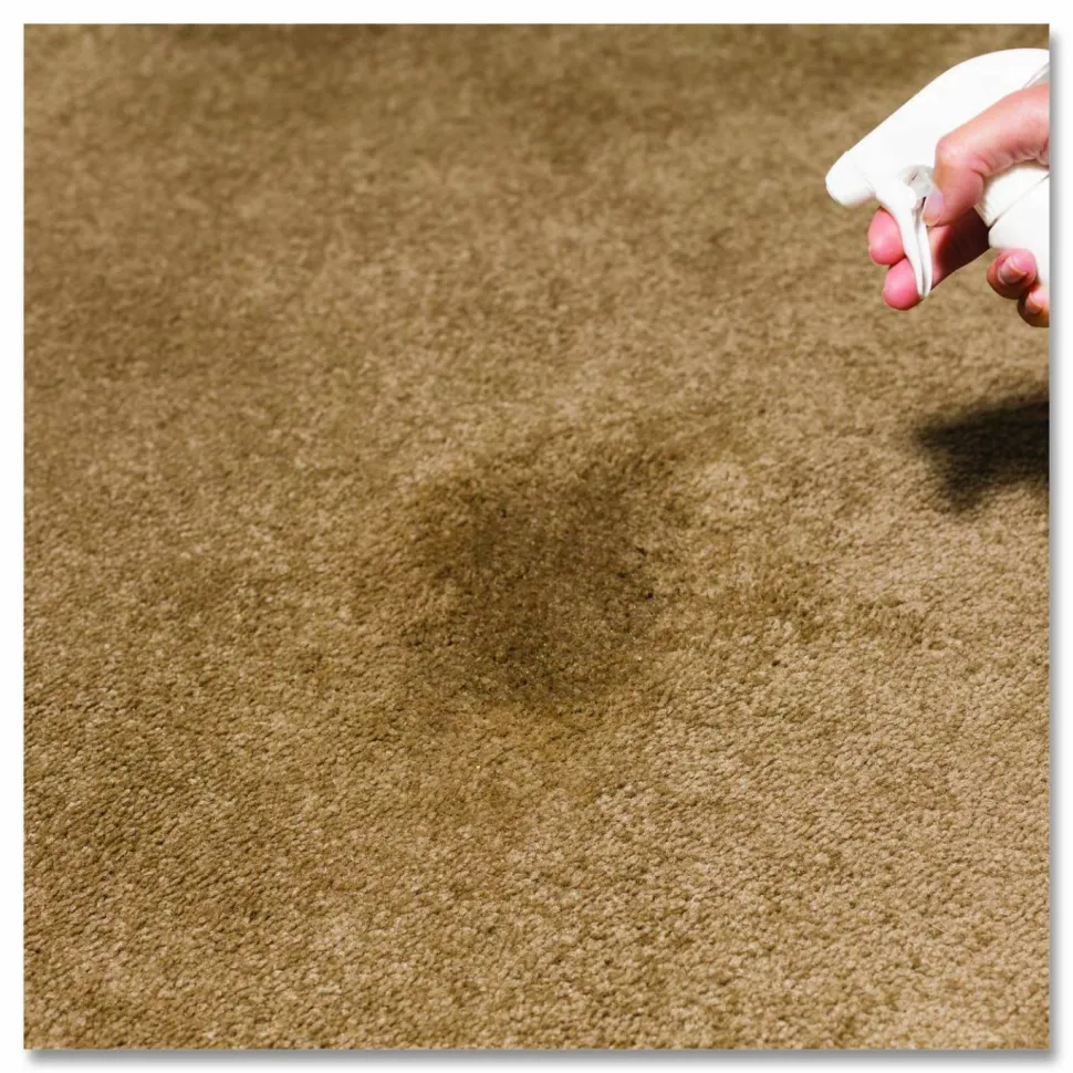 Rust-Oleum Professional Carpet Stain Remover Plus Deodorizer, Lemon Scent, 32 oz Spray Bottle, 6/Carton