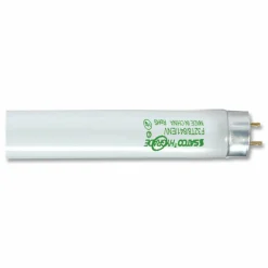 Satco 48" T8 Fluorescent Bulbs, 32 Watt, Carton Of 6