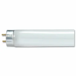 Satco T8 Linear Fluorescent Light Bulbs, 32 Watts, Pack Of 30 Bulbs
