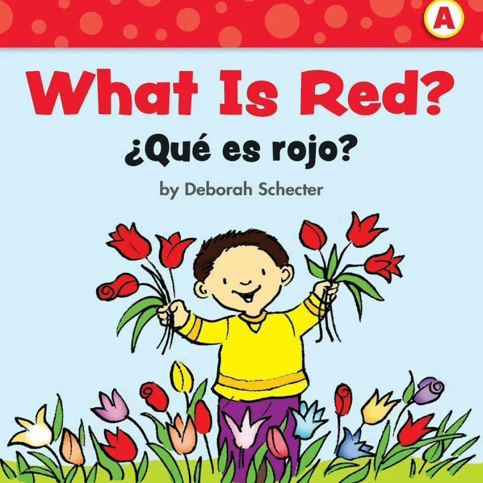 Scholastic First Little Readers Book Set Printed Book by Deborah Schecter