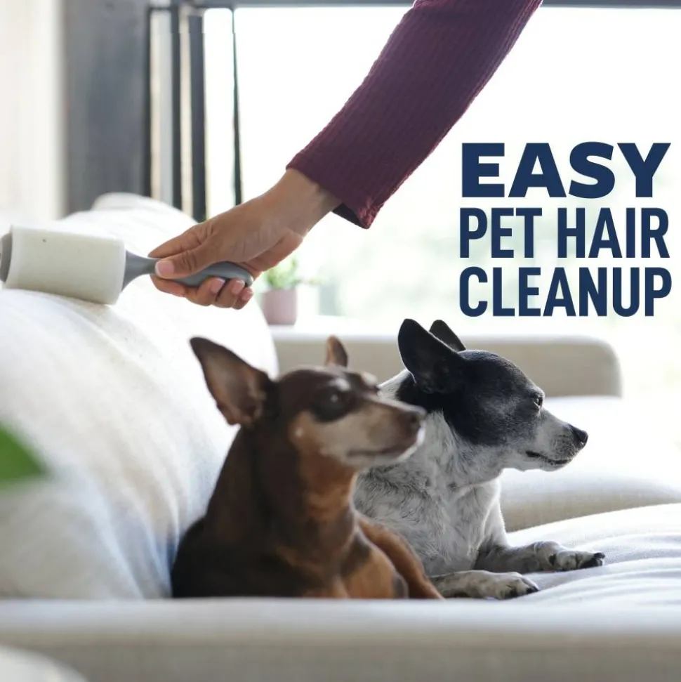 Scotch-Brite Everday Clean Lint Roller, 1 Pack, 70 Adhesive Sheets Total, Lint Remover for Pet Hair, Dark Clothes, Furniture, and Dusty Surfaces