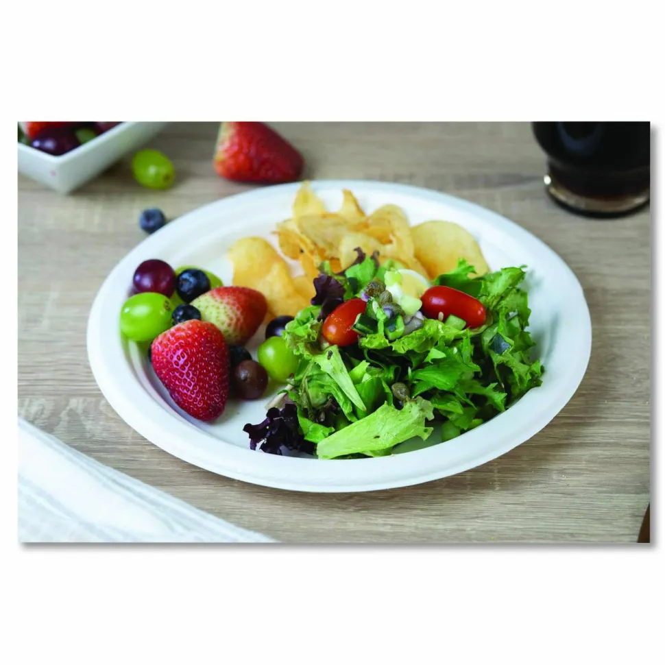SCT ChampWare Molded Fiber Tableware, Molded Fiber Plate, 10" dia, White, 125 Plates/Sleeve, 4 Sleeves/Carton