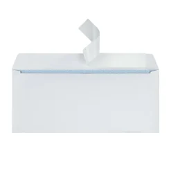#10 Security Envelopes, 4-1/8