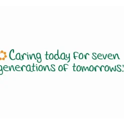 Seventh Generation 2-Ply Toilet Paper, 100% Recycled, 240 Sheets Per Roll, 12 Rolls Per Pack, Case Of 4 Packs