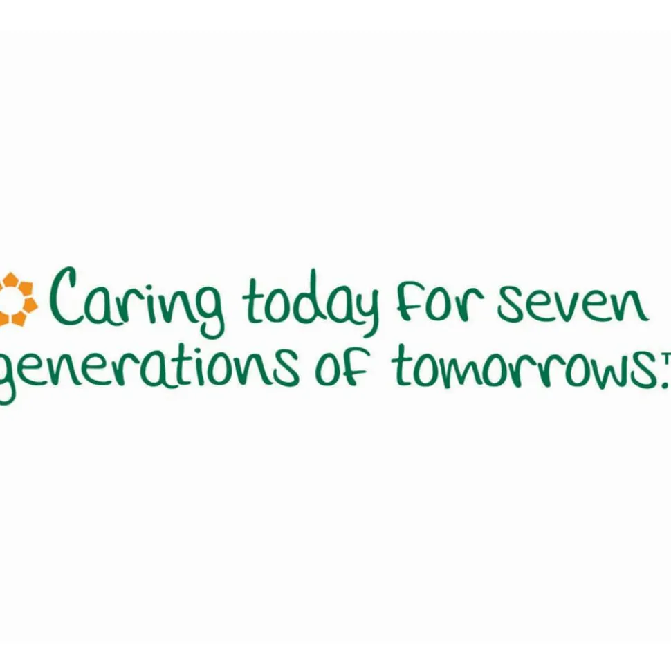 Seventh Generation 100% Recycled Facial Tissue, 2-Ply, White, 85 Sheets/Box, 36 Boxes/Carton