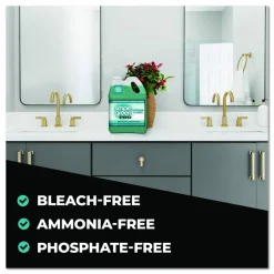 Simple Green Pro Bathroom Cleaner, 1 gal Bottle, 4/Carton