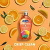 Softsoap Antibacterial Liquid Hand Soap Pump, 11.25 (332.7 mL) oz., Pack of 6, Crisp Clean Scent - 03562CT